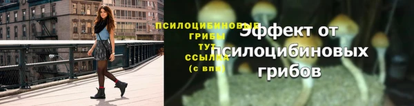 синтетический гашиш Пестово
