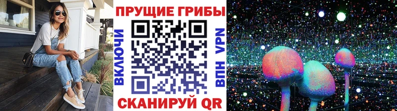 Галлюциногенные грибы Magic Shrooms  Сатка 