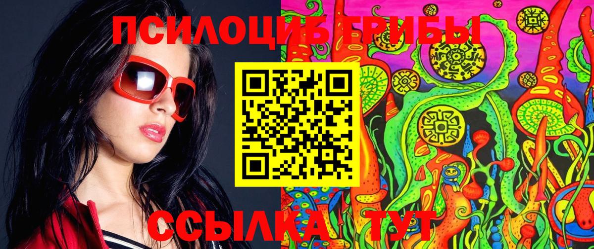 Галлюциногенные грибы Psilocybine cubensis  Вход с VPN  Сатка  Псилоцибиновые грибы Cubensis 